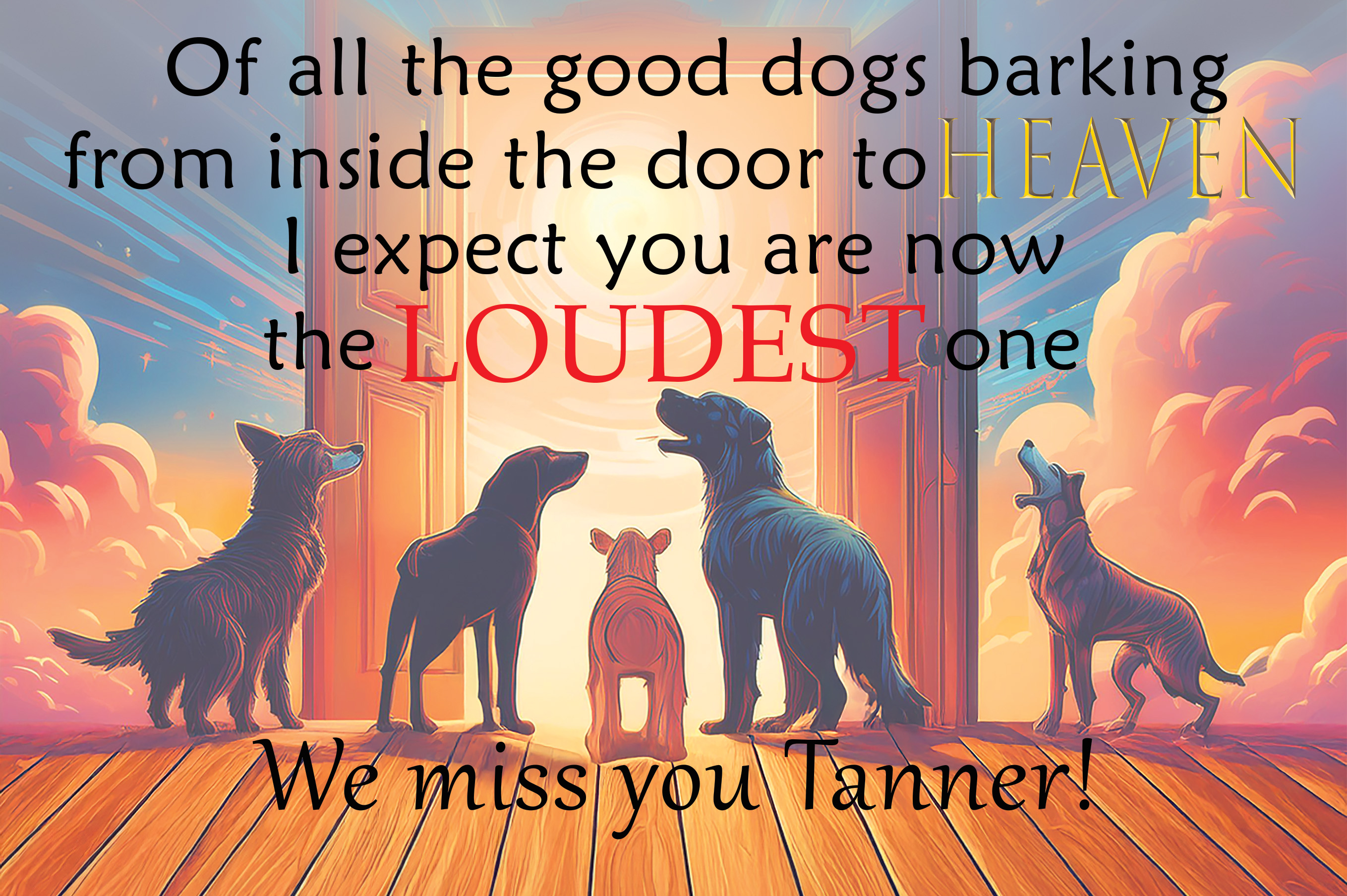 Dogs Barking in Heaven Aluminum Print